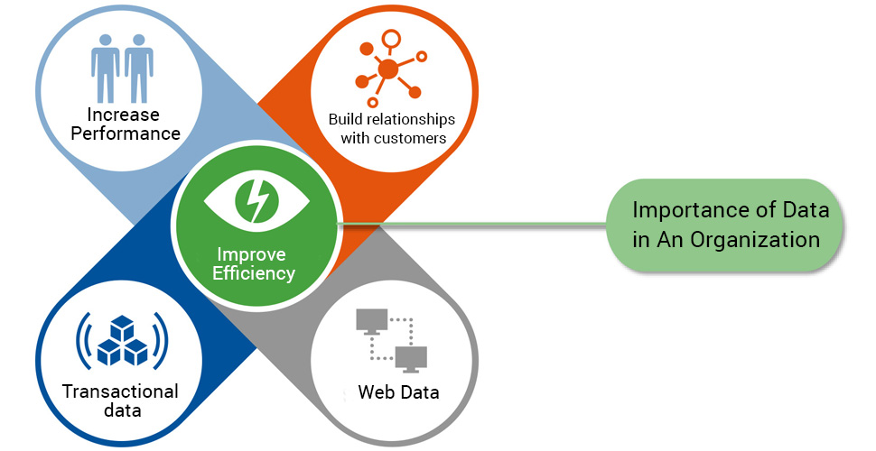 The Role of Data in Growth