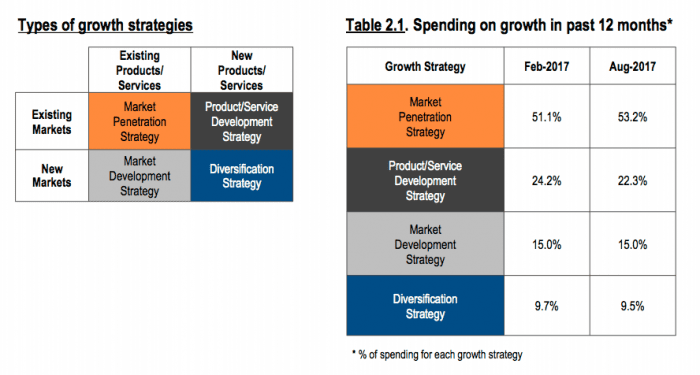 Marketing-focused growth